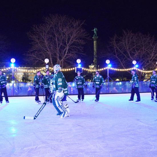 Bietigheim Steelers auf dem Eis